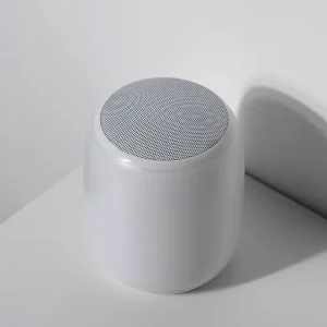 Base booster speaker